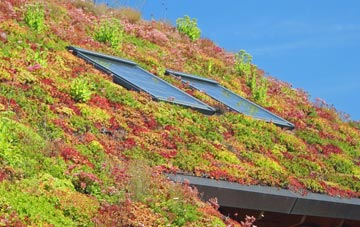 Holman Clavel living roof systems
