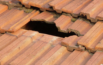 roof repair Holman Clavel, Somerset